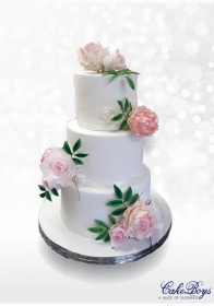 Cake-Boys-Wedding-Bliss